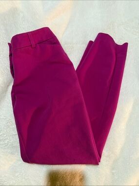 Women's Tailored Ponte Pants in Magenta